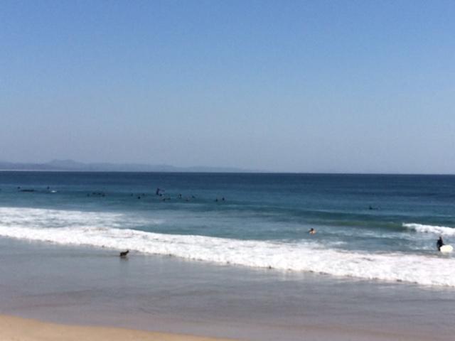 Sea Breeze on Main Beach Byron Bay Buitenkant foto